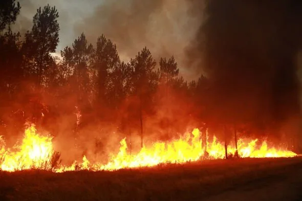 仏ジロンドで38度熱波接近、首都圏目前11kmまで迫る未曽有の大規模火災