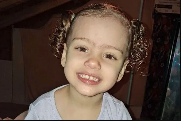 2歳女児、隣家の犬に森へ引きずり込まれ死亡…3人を逮捕