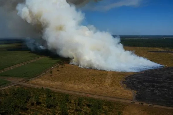 もう笑うしかない…ボルドー目前の山火事、ビーチで日光浴する観光客たち