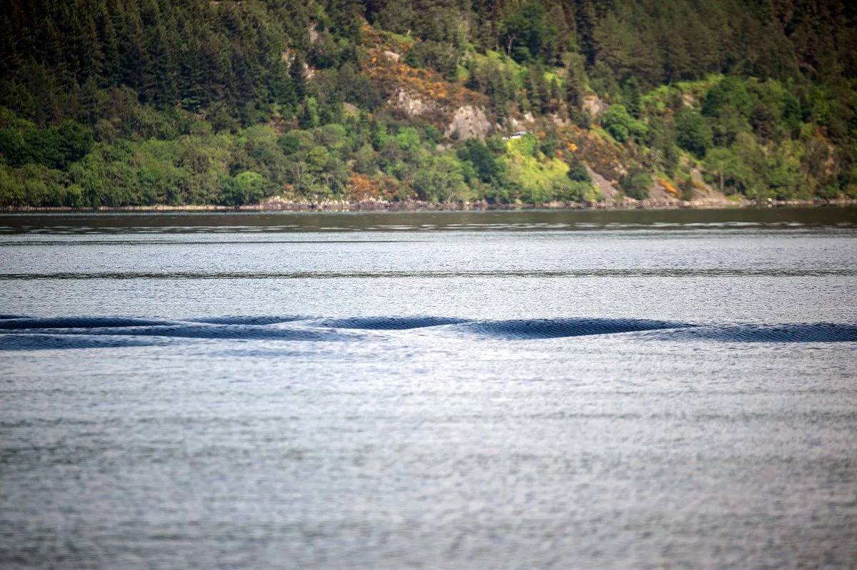 ネッシー狩り、ライブカメラで全長10m級の“巨大生物2匹”が水中に消える瞬間を捉える