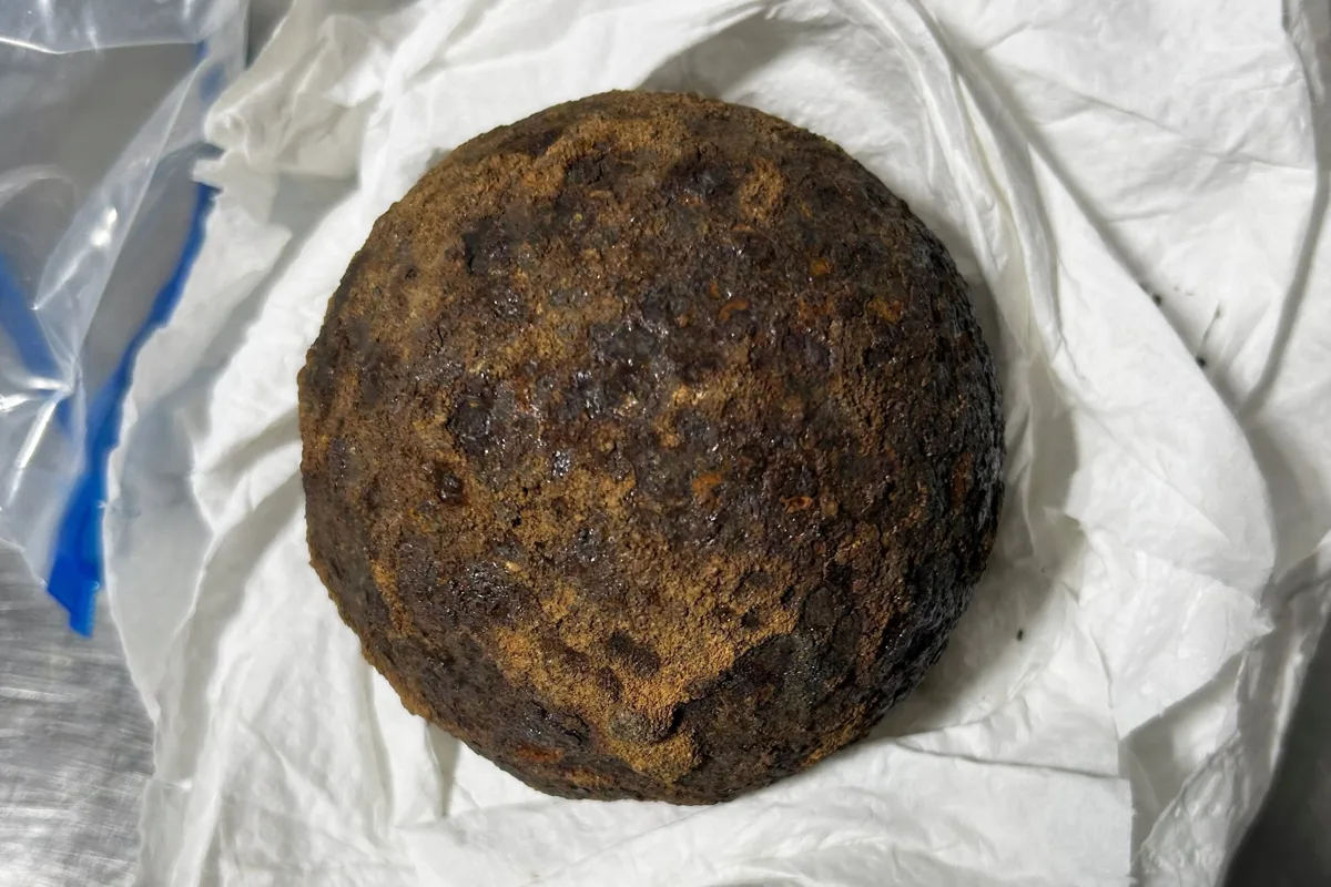空港の手荷物検査で南北戦争の砲弾5発発見、祖母のバッグから